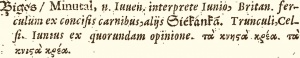 From: Cnapius, Gregorius (1643, 2nd ed.) Thesaurus polonolatinogræcus, Kraków, p. 30